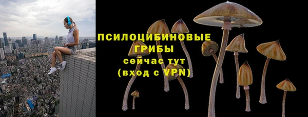 ALPHA PVP Арсеньев