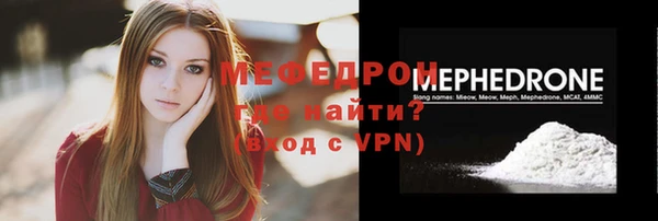 индика Заводоуковск