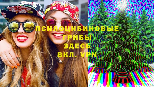 PSILOCYBIN Гусь-Хрустальный