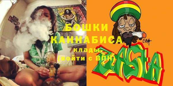 хмурый Ельня